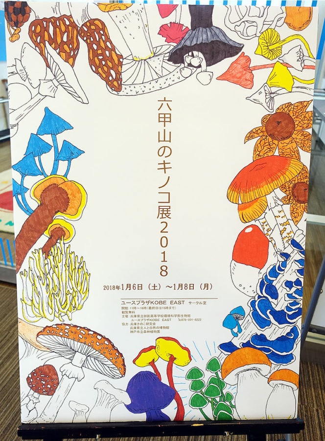 【入手困難】きのこ帝国 - 1st Demo 自主制作盤 非売品 きのこ帝国、入手困難となってしまったレコード、3タイトルがカラー盤